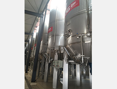 12 ton fruit wine equipment