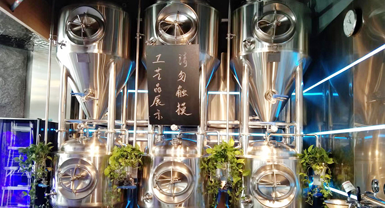 Shenzhen Bar 500L Beer Craft Brewing Equipment