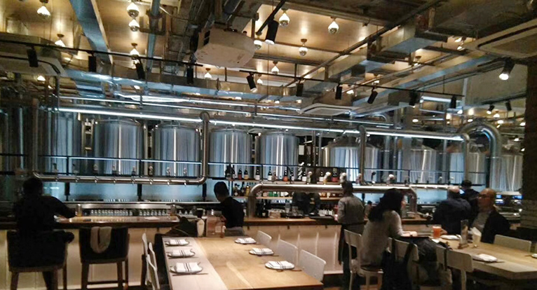 俄罗斯1000L啤酒项目
