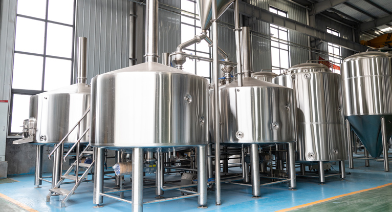 Singapore's 60000 ton annual beer production project