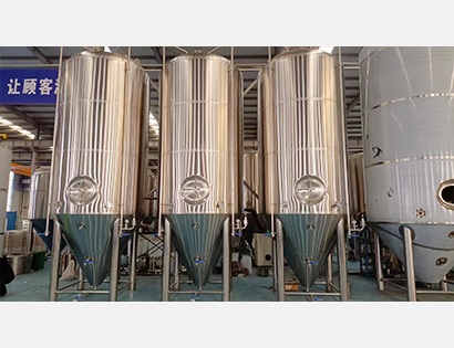 6000L inner oval side manhole fermentation tank
