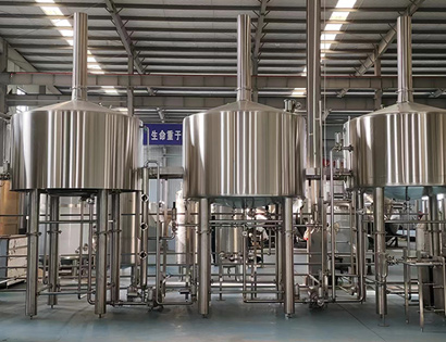 4T seasoning production line