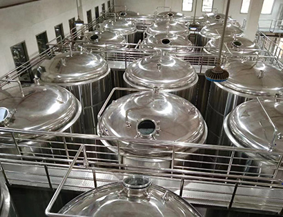 10T seasoning production line