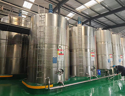 20T fruit wine production line